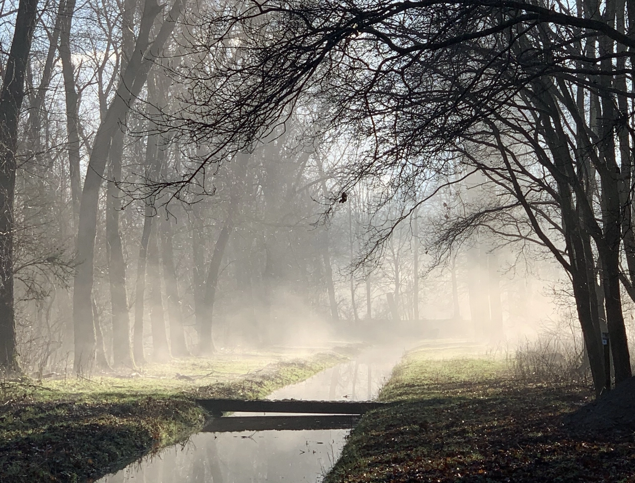 Bomen- en knoppenwandeling met Broekpoldergidsen op zondag 4 februari